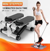 Mini stepper Exercise Machine